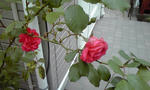 f590d261.JPG