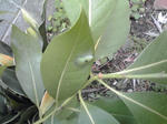 20110607-1515.JPG