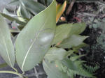 20110610-1219.JPG