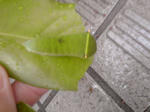 20110616-1720.JPG