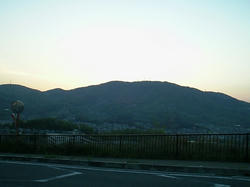 0124e445.jpg