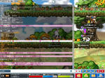 Maple0000.jpg