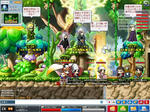Maple0002.jpg