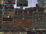 final0610.JPG