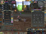 0612townmae.JPG