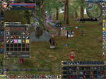 ranbo-0626.JPG