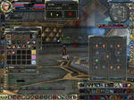 lastbrain0821.JPG
