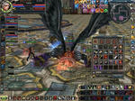 doku0905.JPG