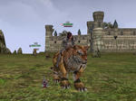 saidonotora.JPG