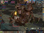 glad31210.JPG