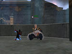tauntaiki1214.JPG