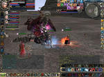 sprits0126.JPG