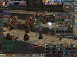 glad0406.JPG