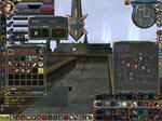 0416shadow.JPG