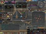 0512wb.JPG