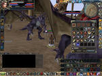 dorake0608.JPG