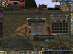 1021-2bedo.JPG