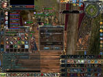 1203towngo.JPG