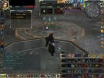 1213wb.JPG