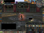 0126kill.JPG