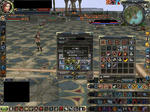 0310bot.JPG