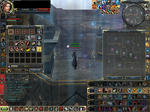 0317asyu.JPG