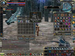 0620sinngon.JPG