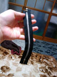 2010y01m24d_012458268.jpg