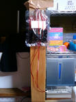 2010y02m19d_002158328.jpg