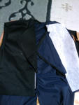 2010y03m04d_001139017.jpg