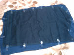 2010y03m05d_004858672.jpg
