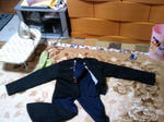 2010y03m06d_230325529.jpg