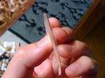 2010y04m12d_005237653.jpg