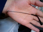 2010y04m12d_005747078.jpg