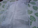 2010y09m28d_035552955.jpg