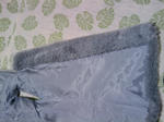 2010-10-25_09.30.38_R.jpg