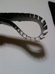 2011-01-07_07.09.02_R.jpg
