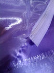 2011-02-17_00.38.19_R.jpg
