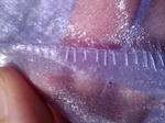 2011-02-18_00.09.23_R.jpg