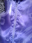 2011-02-18_00.07.53_R.jpg