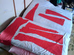 2011-10-01_12.36.41_R.jpg