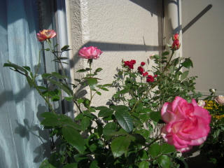 DSCN0246.jpg