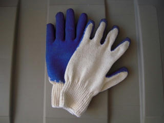 DSCN0257.jpg