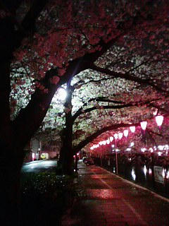 070403_200552.jpg