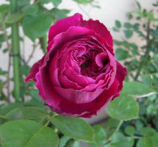 b4946f49.jpg