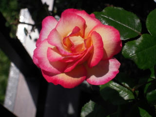 DSCN0836.JPG
