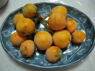 DSCN1276.JPG