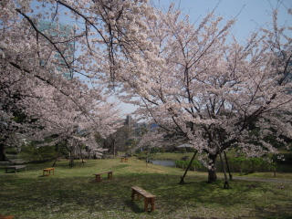 DSCN2943.JPG