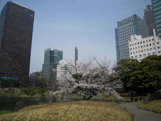 DSCN2948.JPG