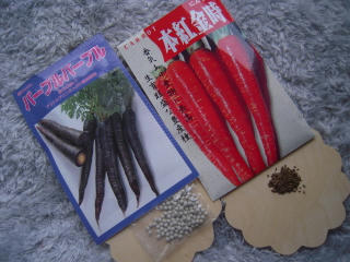 DSCN3016.JPG